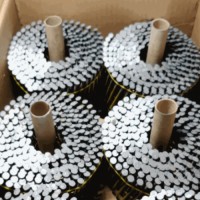 Гвоздь барабанный BDC 25X55 FV RING (горячий цинк) 9000шт